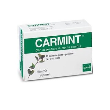 CARMINT 30 CAPSULE