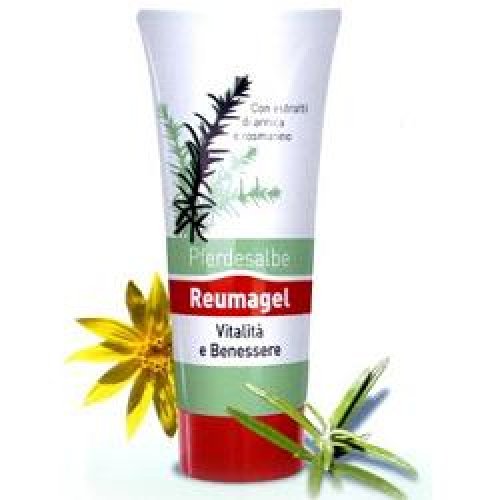 RECOVER GEL PFERDESALBE 200 ML