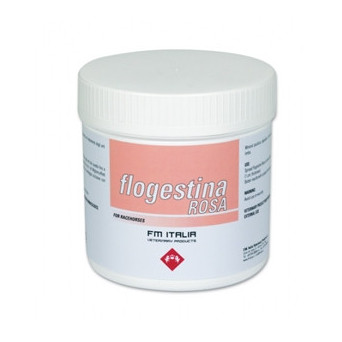 FLOGESTINE ROSA PASTA 1 KG