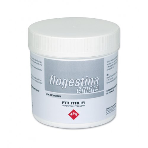 FLOGESTINA GRIGIA PASTA 1 KG