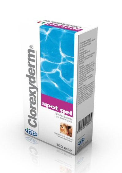 CLOREXYDERM SPOT GEL 100 ML