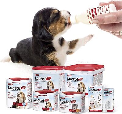 LACTOL LATTE CUCCIOLO POWDER 500 G