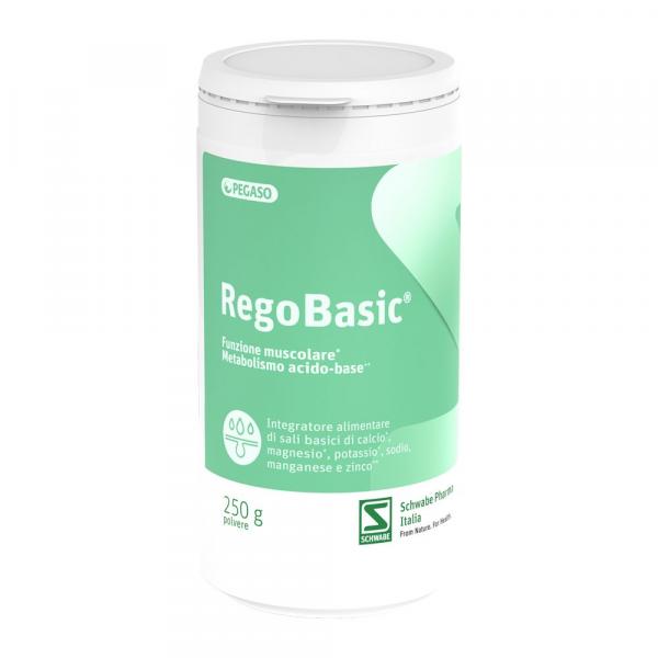 REGOBASIC POLVERE 250 G