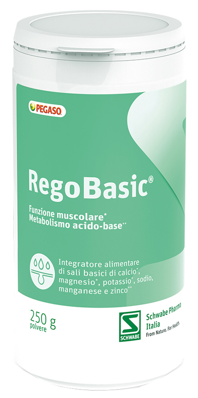 REGOBASIC POLVERE 250 G