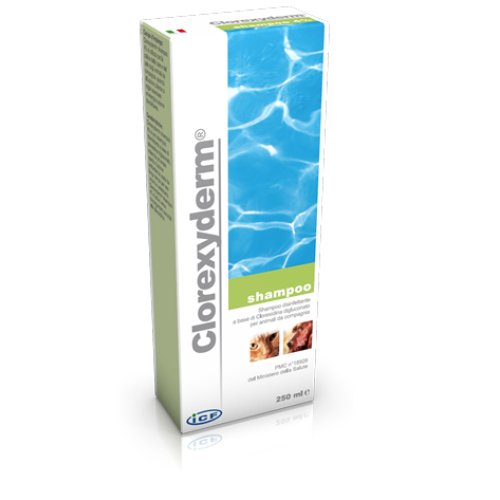 CLOREXYDERM SHAMPOO 250 ML