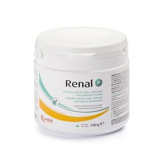 RENAL N PASTA SIRINGA DOSATRICE 15 ML