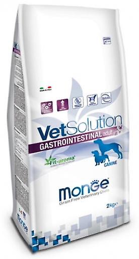 MONGE VET SOLUTION CANINE INTESTINAL 2 KG