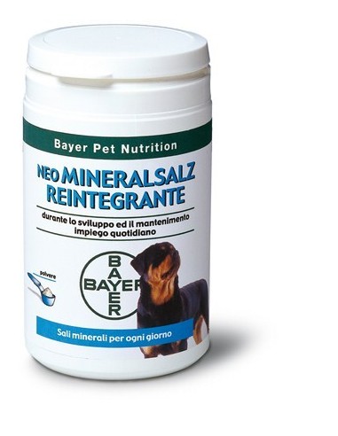 NEO MINERALSALZ REINTEGRANTE 300 G