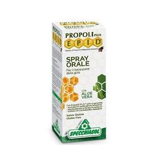 EPID AEROSOL 10 FIALE X 2 ML