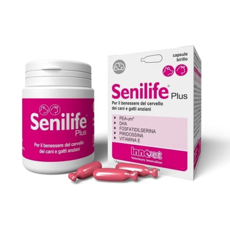 SENILIFE PLUS 60 CAPSULE