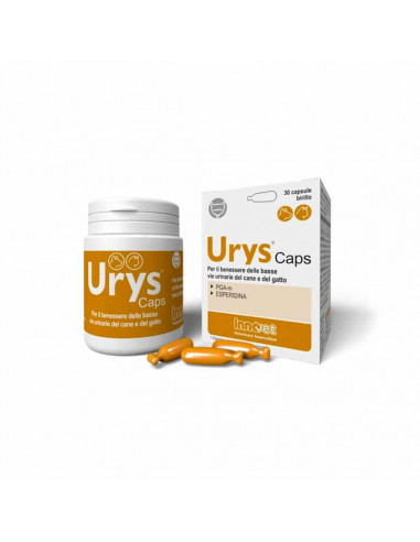 URYS CAPS 30 CAPSULE