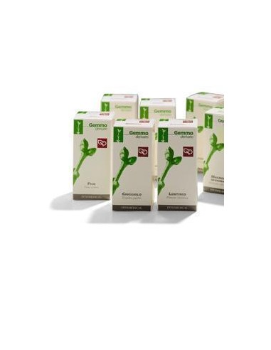 RIBES NE 50 ML MACERATO GLICERINATO