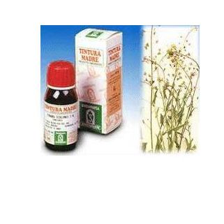 ECHINACEA 59 50ML TM