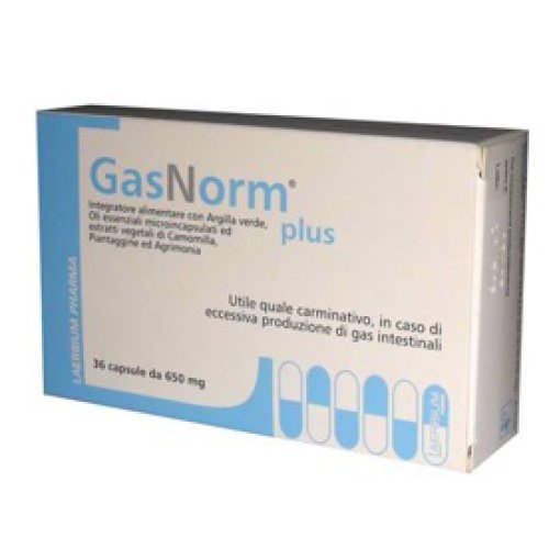 GASNORM PLUS 36 CAPSULE