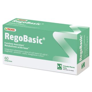 REGOBASIC 12 BUSTINE POLVERE