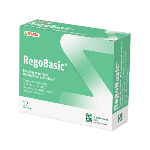 REGOBASIC 12 BUSTINE POLVERE