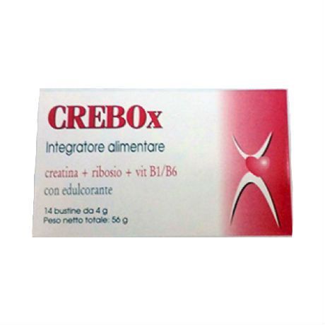 CREBOX 14 BUSTINE