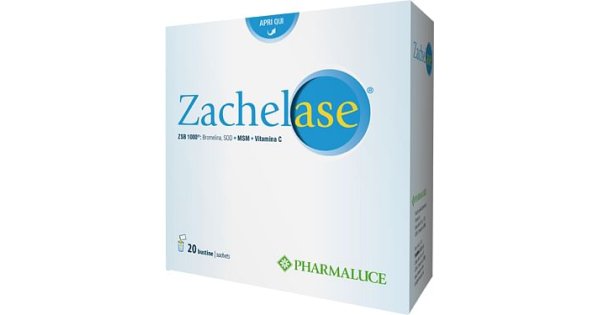 ZACHELASE 20 BUSTINE