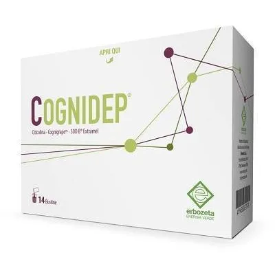 COGNIDEP 14 BUSTINE