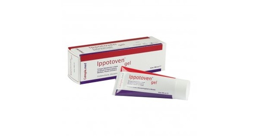 [905894111] IPPOTOVEN GEL 200 ML