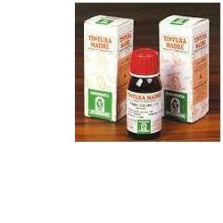 [909310043] ERISIMO 61 50ML TM