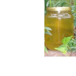 [909833612] MIELE ACACIA 500 G