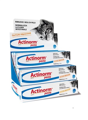 [911951008] ACTINORM PASTA GATTI 65 G