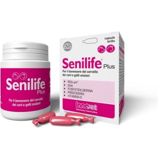 [981076728] SENILIFE PLUS 60 CAPSULE