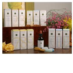 [900179209] ZEF11 CALMA PLANT STV