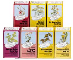 [910400555] TARASSACO TISANA 15 FILTRI BIO