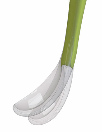 [925874885] CHICCO CUCCHIAIO MORBIDO SILICONE 6M+ VERDE UP